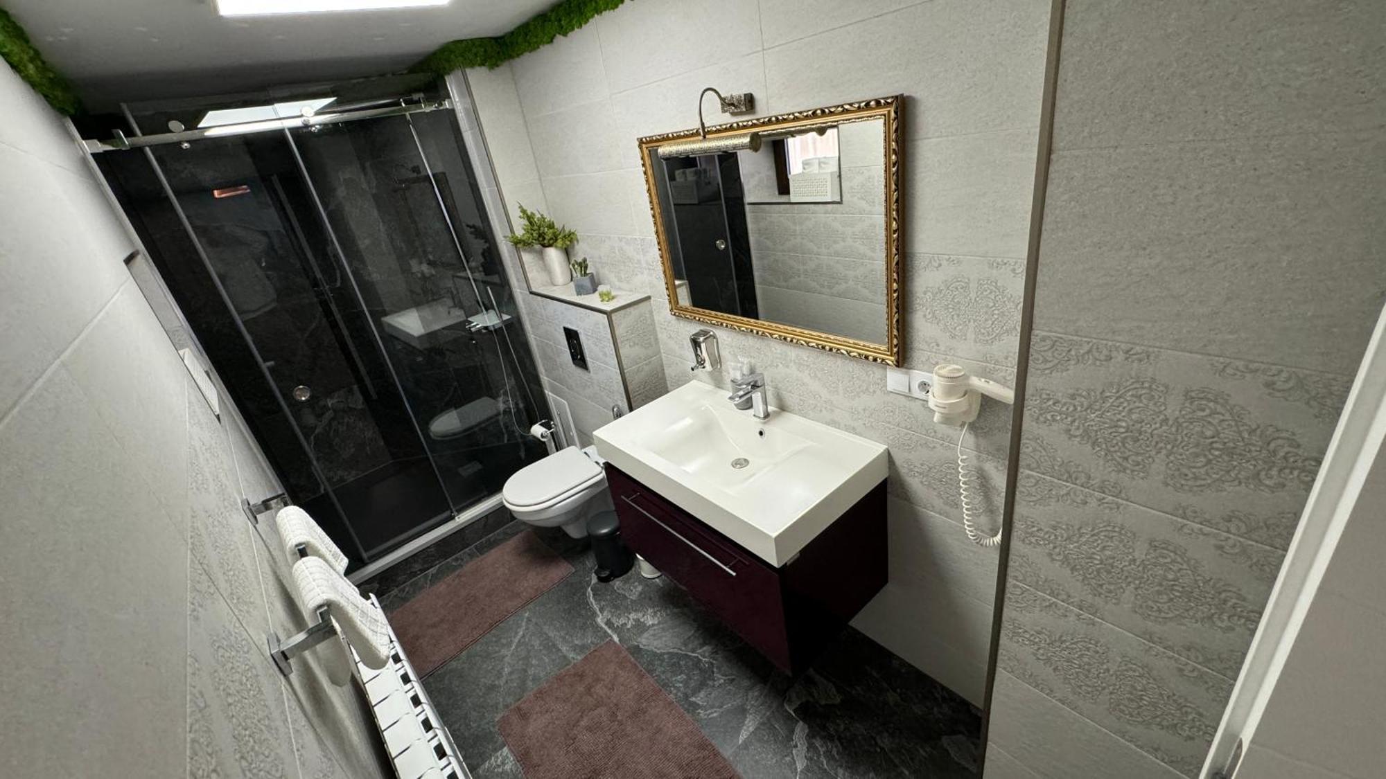 Dd Studio Deluxe Sibiu Luaran gambar